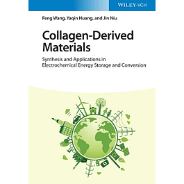 Collagen-Derived Materials: Synthesis and Applications in Electrochemical Energy Storage and Conversion