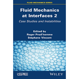 Fluid Mechanics at Interfaces 2: Case Studies and Instabilities 
