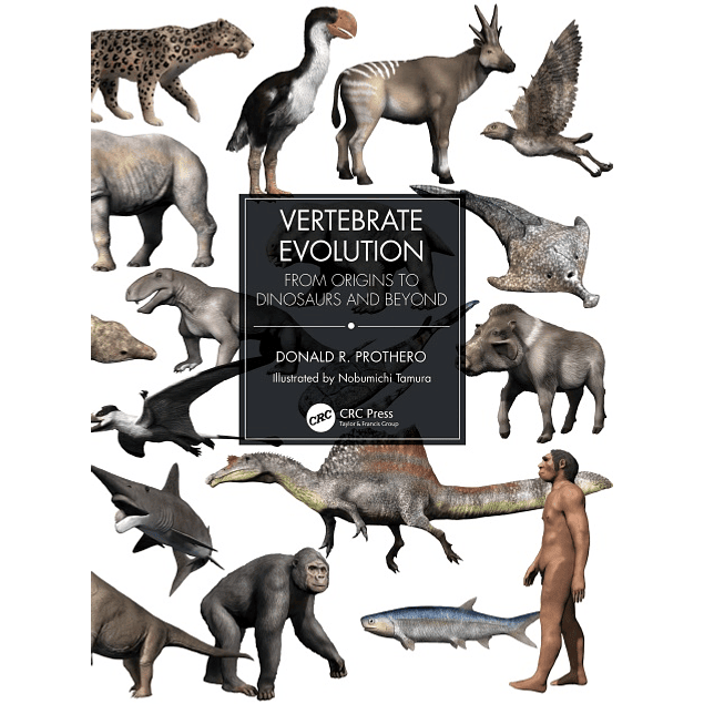 Vertebrate Evolution: From Origins to Dinosaurs and Beyond