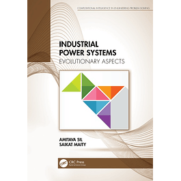 Industrial Power Systems: Evolutionary Aspects