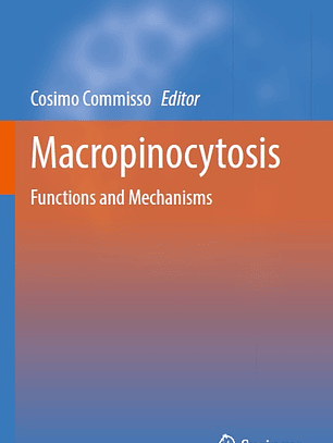 Macropinocytosis: Functions and Mechanisms