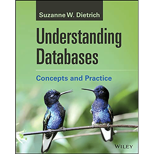 Understanding Databases: Concepts and Practice
