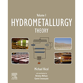  Hydrometallurgy: Theory 
