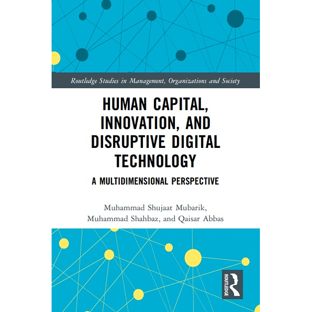 Human Capital, Innovation and Disruptive Digital Technology: A Multidimensional Perspective 
