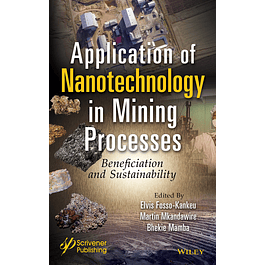  Application of Nanotechnology in Mining Processes: Beneficiation and Sustainability 