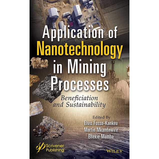  Application of Nanotechnology in Mining Processes: Beneficiation and Sustainability 