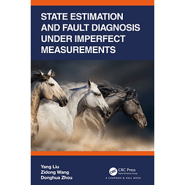 State Estimation and Fault Diagnosis under Imperfect Measurements