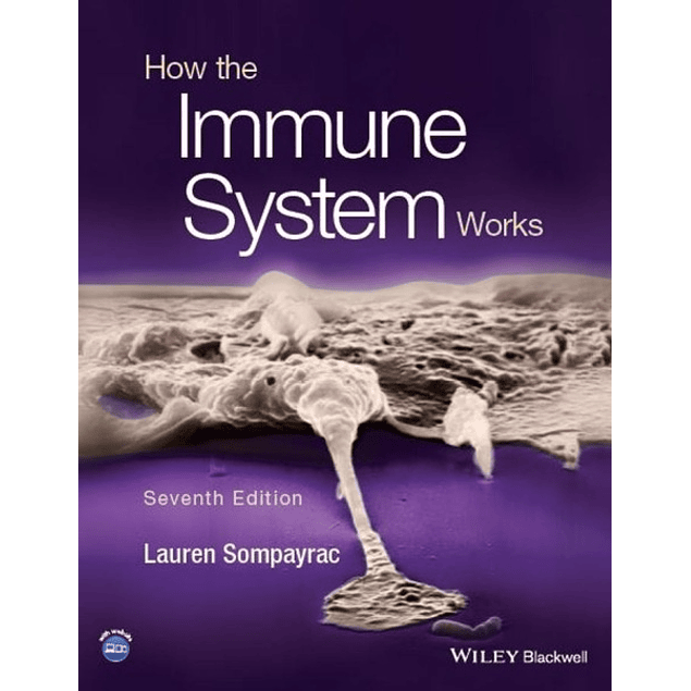 How the Immune System Works 