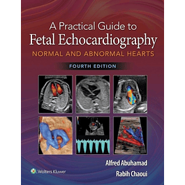 A Practical Guide to Fetal Echocardiography