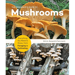 The Beginner's Guide to Mushrooms: Everything You Need to Know, from Foraging to Cultivating 