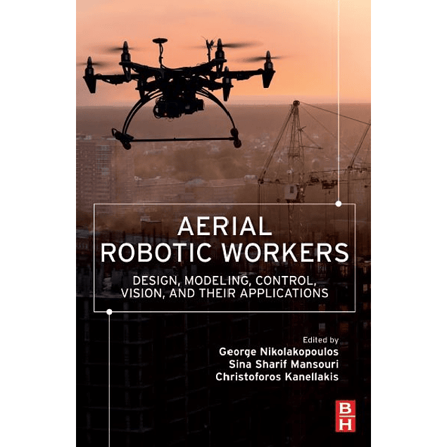 Aerial Robotic Workers: Design, Modeling, Control, Vision and Their Applications