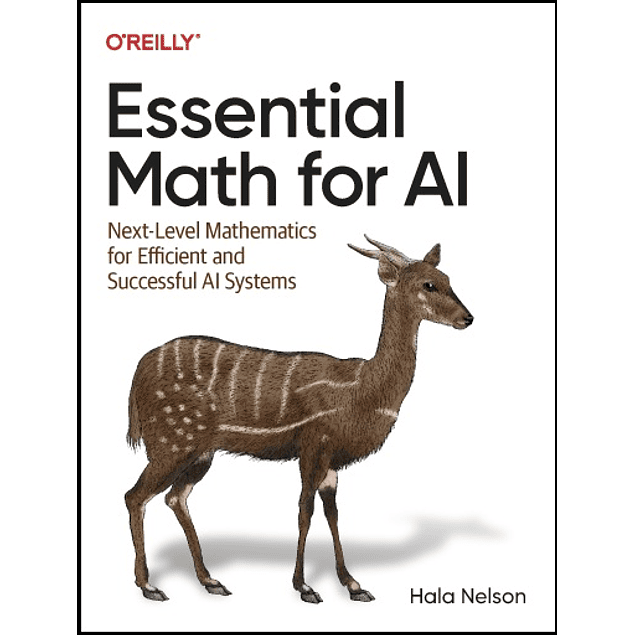  Essential Math for AI: Next-Level Mathematics for Developing Efficient and Successful AI Systems 