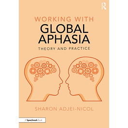 Working with Global Aphasia: Theory and Practice