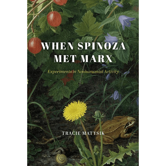 When Spinoza Met Marx: Experiments in Nonhumanist Activity