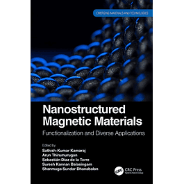  Nanostructured Magnetic Materials: Functionalization and Diverse Applications 
