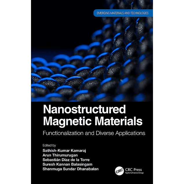  Nanostructured Magnetic Materials: Functionalization and Diverse Applications 