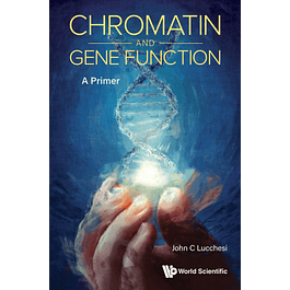 Chromatin and Gene Function: A Primer