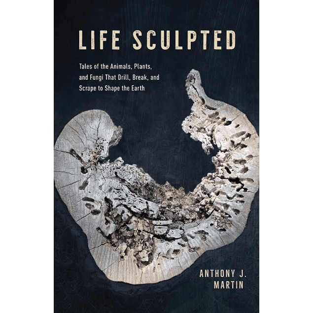 Life Sculpted: Tales of the Animals, Plants, and Fungi That Drill, Break, and Scrape to Shape the Earth