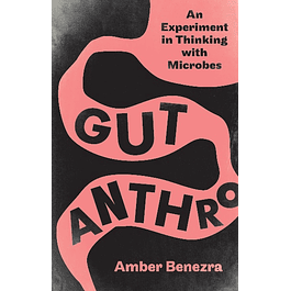 Gut Anthro: An Experiment in Thinking with Microbes