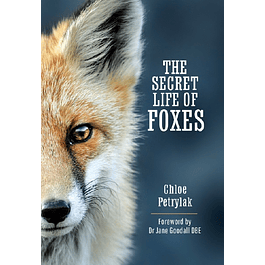 The Secret Life of Foxes