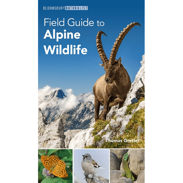 Field Guide to Alpine Wildlife