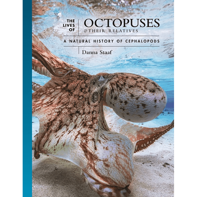 The Lives of Octopuses and Their Relatives: A Natural History of Cephalopods