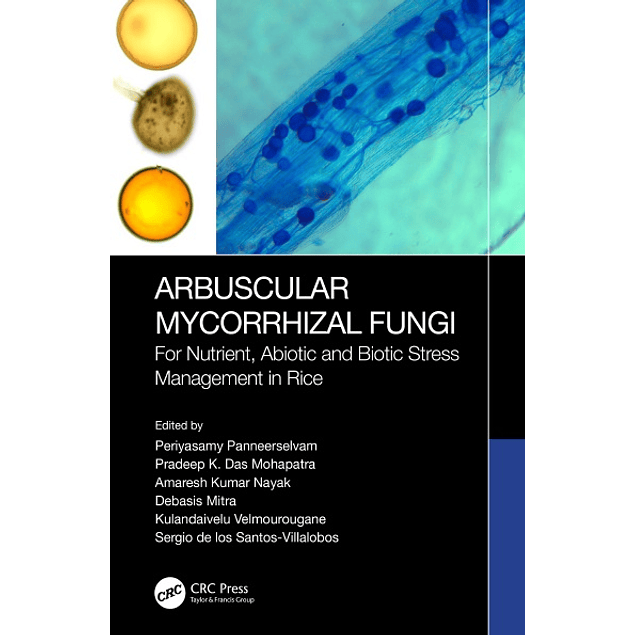 Arbuscular Mycorrhizal Fungi: For Nutrient, Abiotic and Biotic Stress Management in Rice