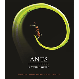 Ants: A Visual Guide