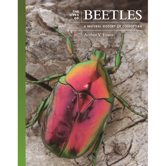 The Lives of Beetles: A Natural History of Coleoptera