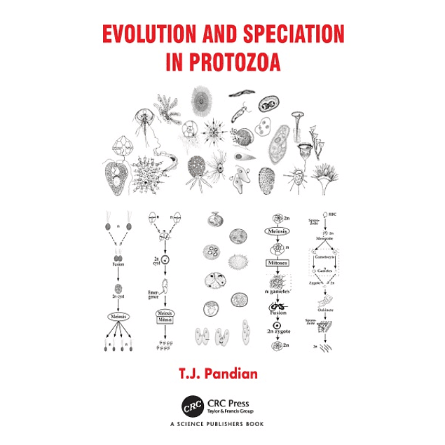 Evolution and Speciation in Protozoa