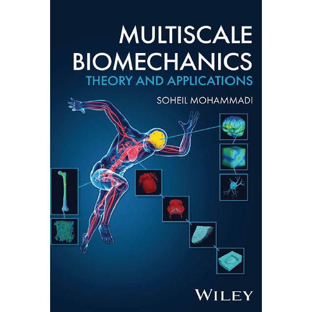 Multiscale Biomechanics: Theory and Applications