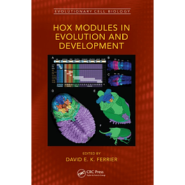 Hox Modules in Evolution and Development