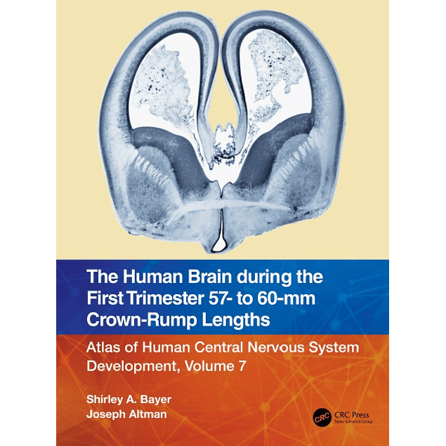 The Human Brain during the First Trimester 57- to 60-mm Crown-Rump Lengths: Atlas of Human Central Nervous System Development, Volume 7