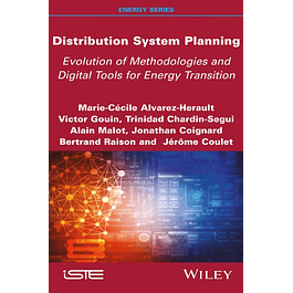 Distribution System Planning: Evolution of Methodologies and Digital Tools for Energy Transition