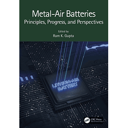 Metal-Air Batteries: Principles, Progress, and Perspectives