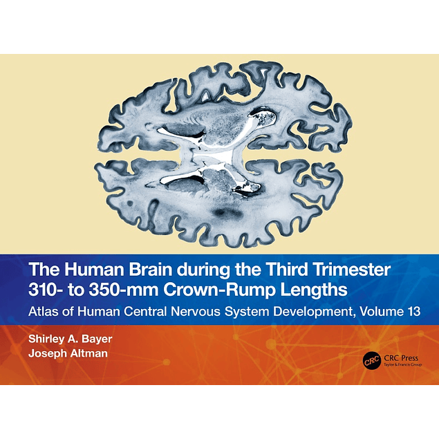 The Human Brain during the Third Trimester 310– to 350–mm Crown-Rump Lengths: Atlas of Central Nervous System Development, Volume 13 