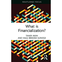 What is Financialization?