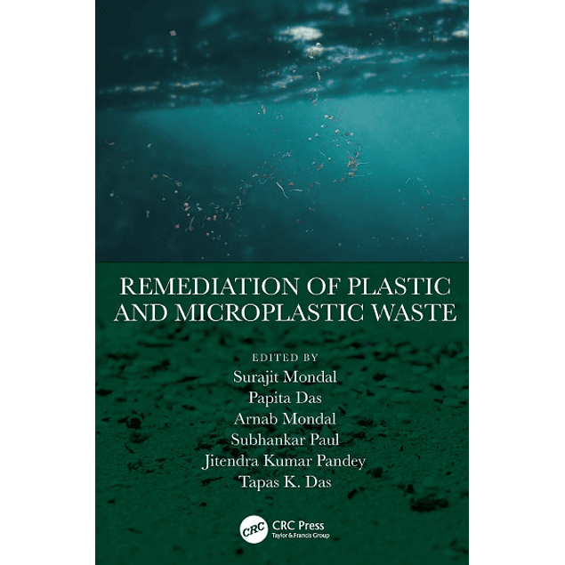 Remediation of Plastic and Microplastic Waste