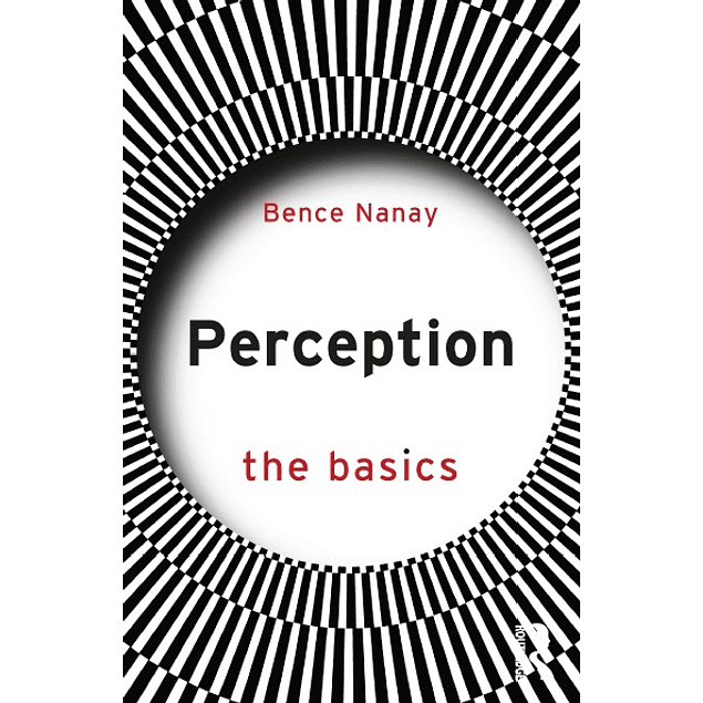 Perception: The Basics