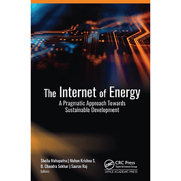 The Internet of Energy: A Pragmatic Approach Towards Sustainable Development