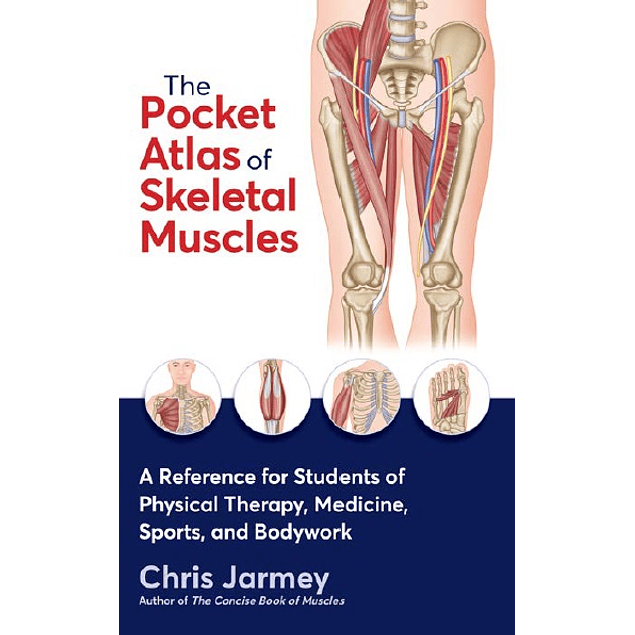 The Pocket Atlas of Skeletal Muscles: A Reference for Students of Physical Therapy, Medicine, Sports, and Bodywork 
