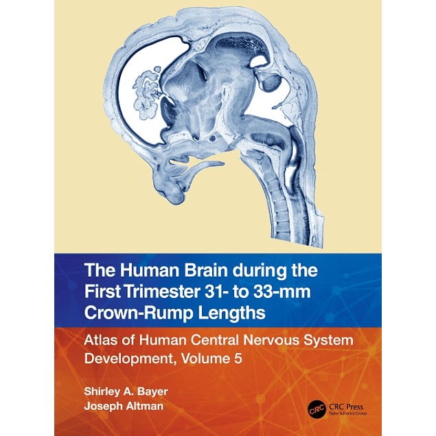 The Human Brain during the First Trimester 31- to 33-mm Crown-Rump Lengths: Atlas of Human Central Nervous System Development, Volume 5