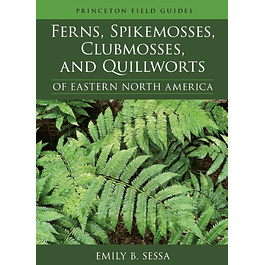 Ferns, Spikemosses, Clubmosses, and Quillworts of Eastern North America