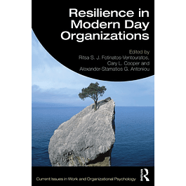 Resilience in Modern Day Organizations (Current Issues in Work and Organizational Psychology) 