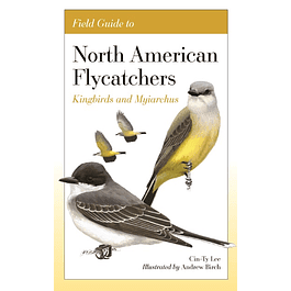 Field Guide to North American Flycatchers : Kingbirds and Myiarchus