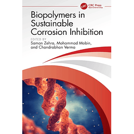 Biopolymers in Sustainable Corrosion Inhibition