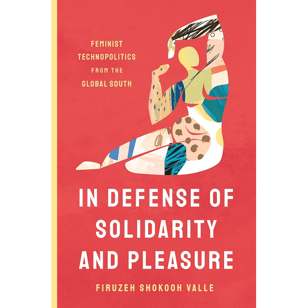 In Defense of Solidarity and Pleasure: Feminist Technopolitics from the Global South