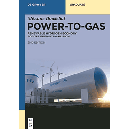 Power-to-Gas: Renewable Hydrogen Economy for the Energy Transition