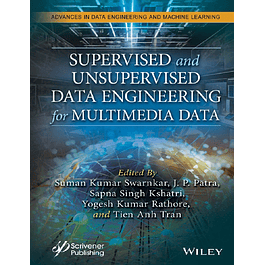 Supervised and Unsupervised Data Engineering for Multimedia Data