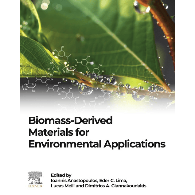 Biomass-Derived Materials for Environmental Applications